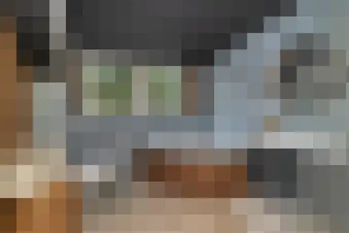 Parallelweg 26 25 Hierden thumbnail 33