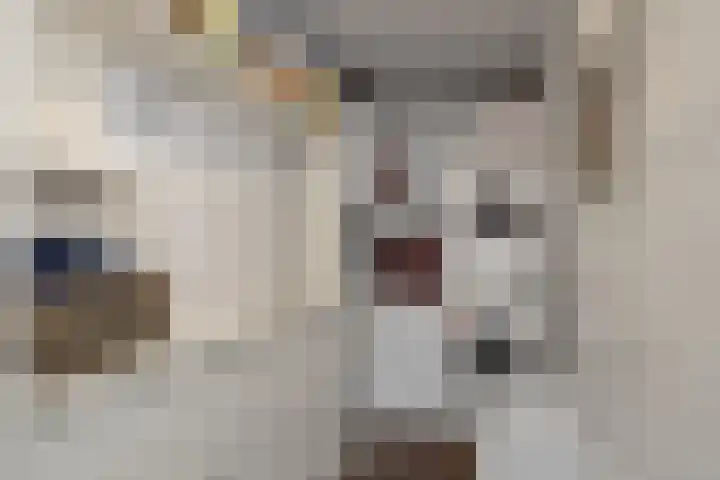 Parallelweg 26 25 Hierden thumbnail 43
