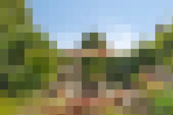 Parallelweg 26 25 Hierden thumbnail 54