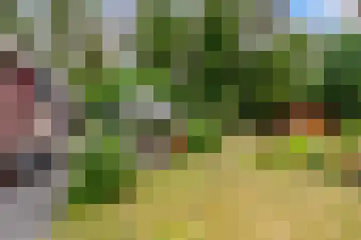 Parallelweg 26 34 Hierden thumbnail 31