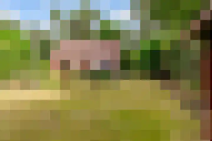 Parallelweg 26 34 Hierden thumbnail 32