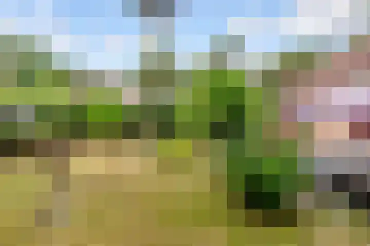 Parallelweg 26 34 Hierden thumbnail 34