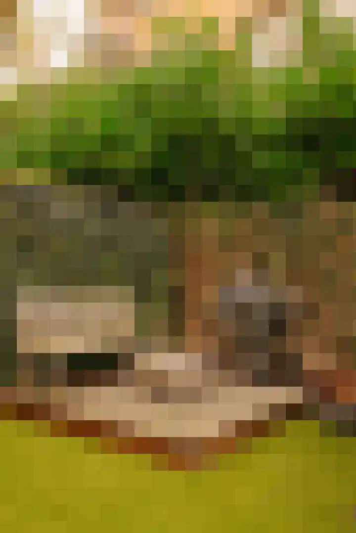 Parallelweg 26 34 Hierden thumbnail 40