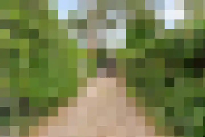 Parallelweg 26 34 Hierden thumbnail 41