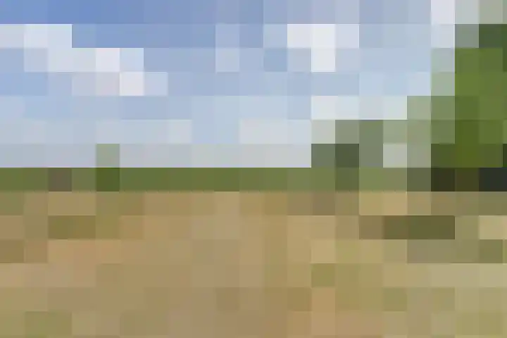 Parallelweg 26 92 Hierden thumbnail 16