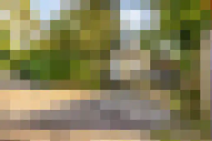 Parallelweg 26 92 Hierden foto 2