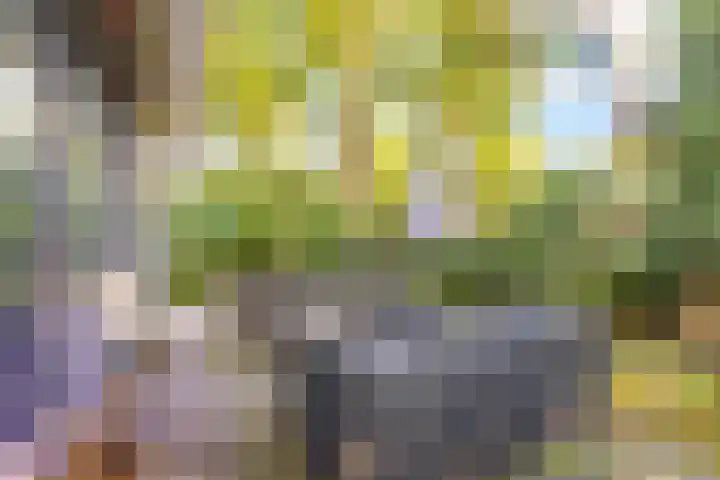 Parallelweg 26 92 Hierden thumbnail 20