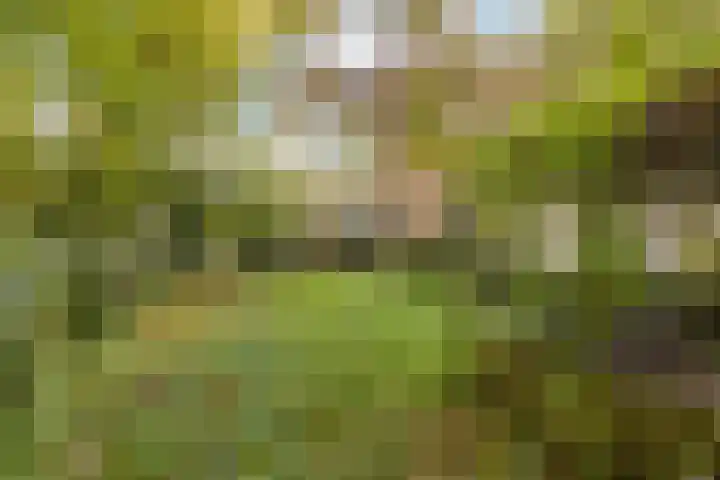 Parallelweg 26 92 Hierden thumbnail 21