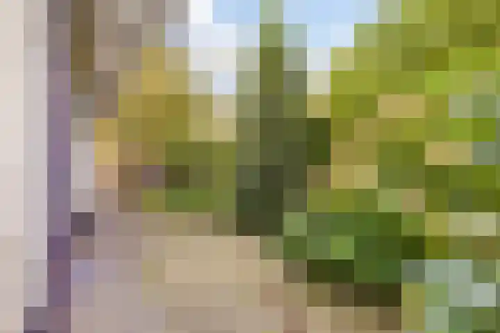 Parallelweg 26 92 Hierden thumbnail 23