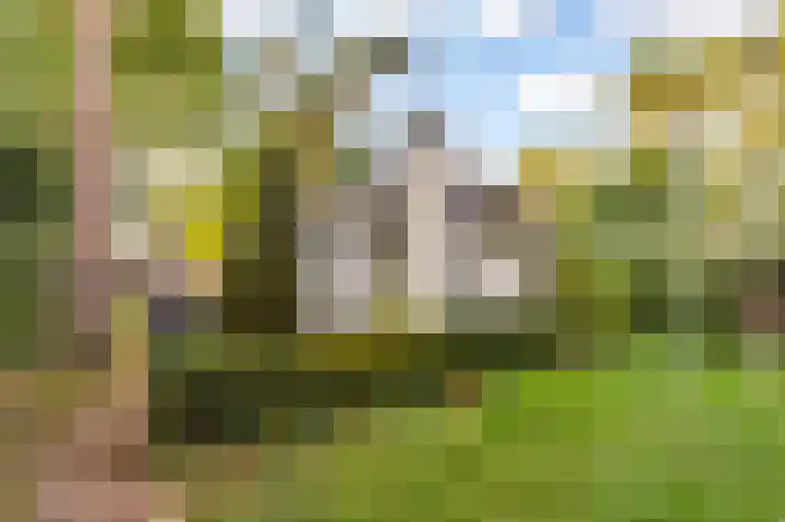 Parallelweg 26 92 Hierden thumbnail 24