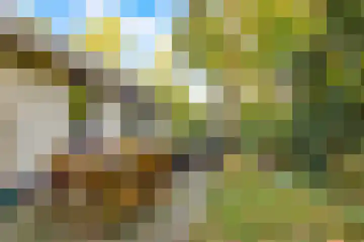Parallelweg 26 92 Hierden thumbnail 25