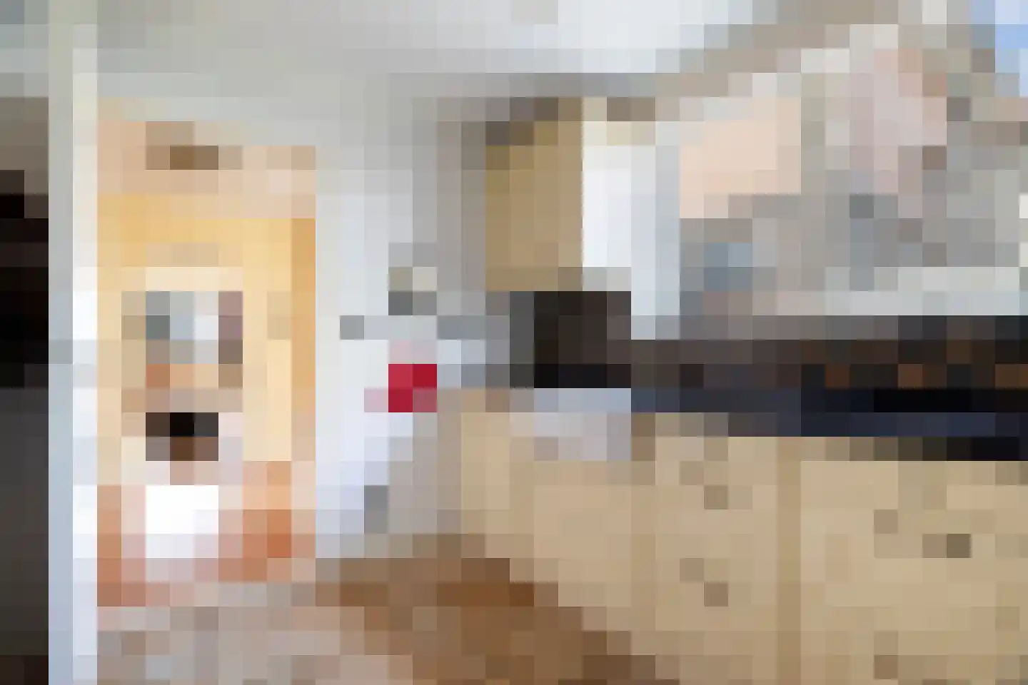 Parallelweg 26 Klaaswaal thumbnail 25