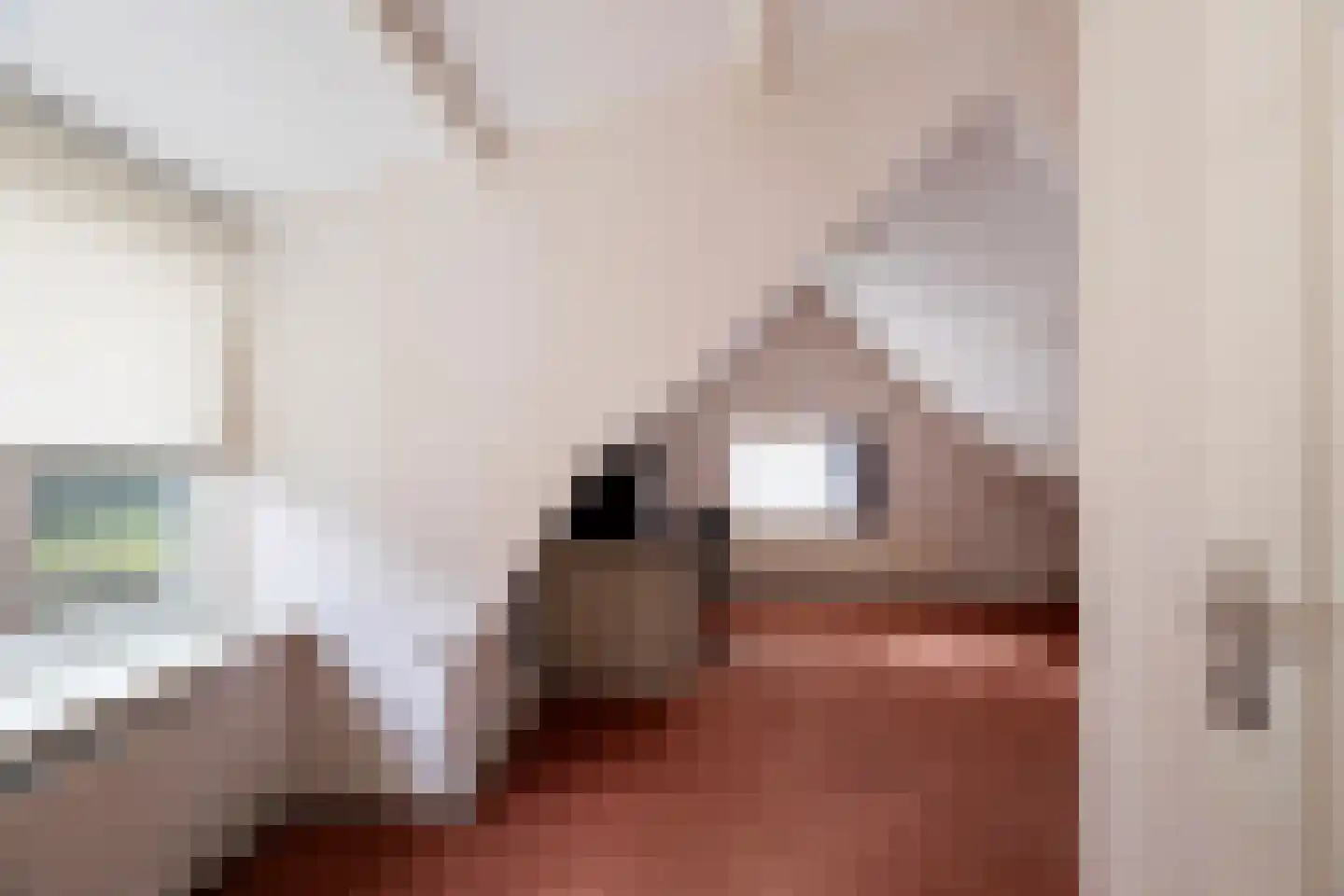 Parallelweg 26 Klaaswaal thumbnail 43