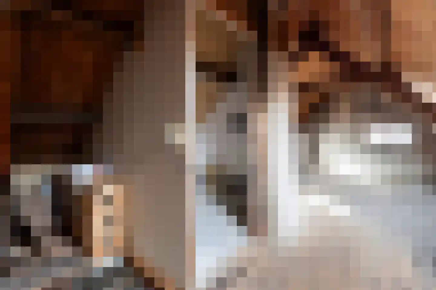 Parallelweg 26 Klaaswaal thumbnail 50