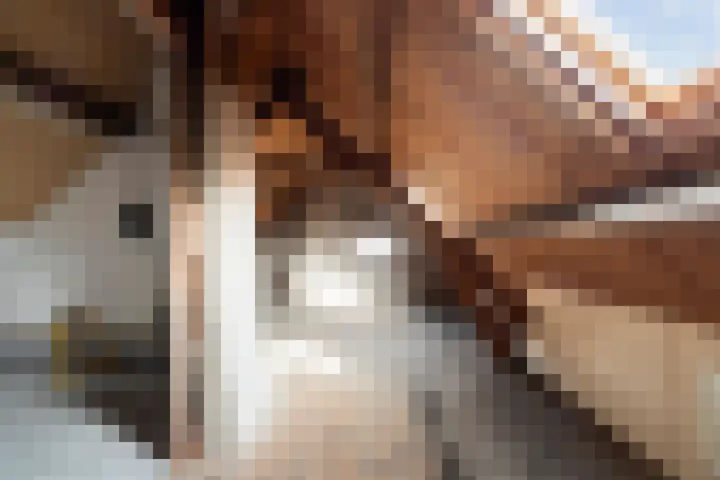 Parallelweg 26 Klaaswaal thumbnail 51