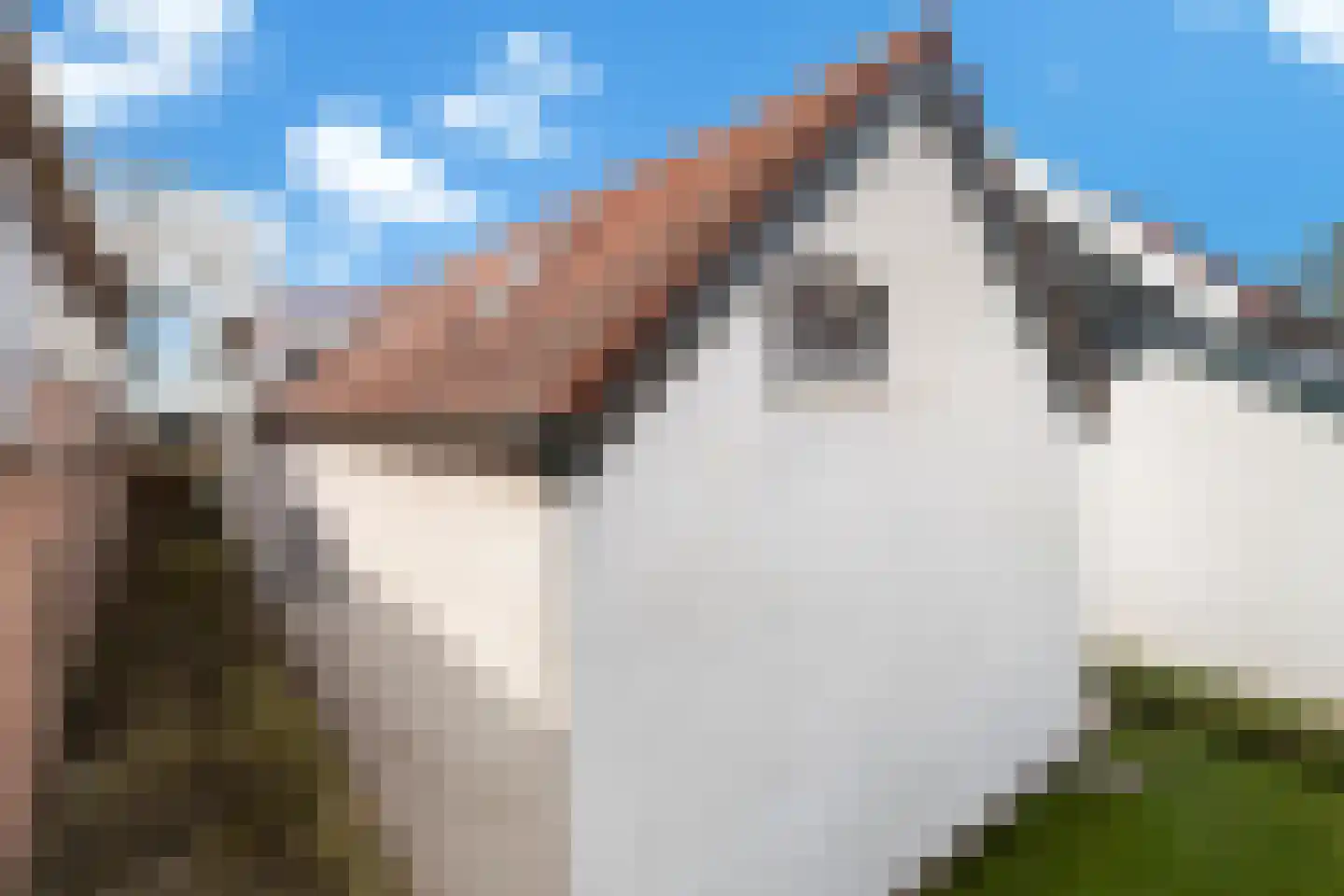 Parallelweg 26 Klaaswaal thumbnail 63