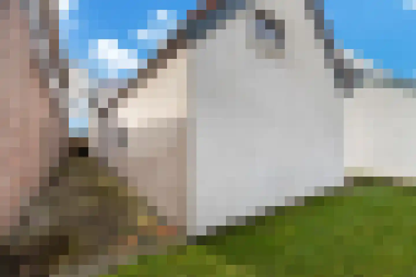 Parallelweg 26 Klaaswaal thumbnail 64