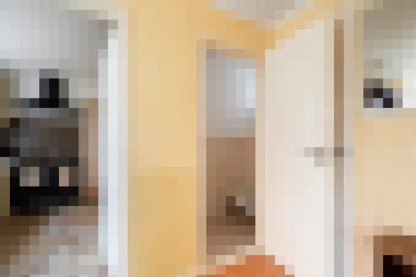 Parallelweg 26 Klaaswaal thumbnail 7