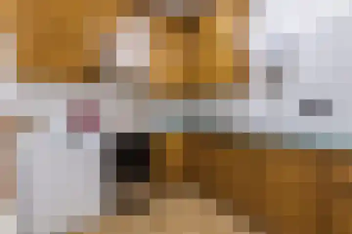 Parallelweg 27 Halsteren thumbnail 22