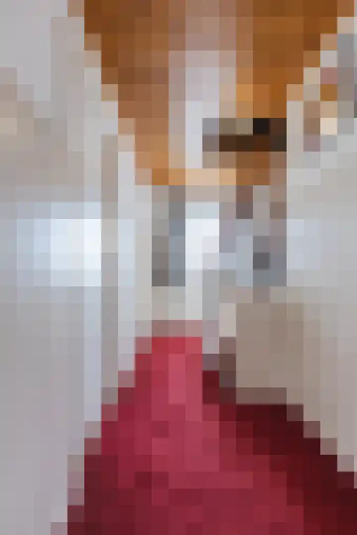 Parallelweg 27 Halsteren thumbnail 25