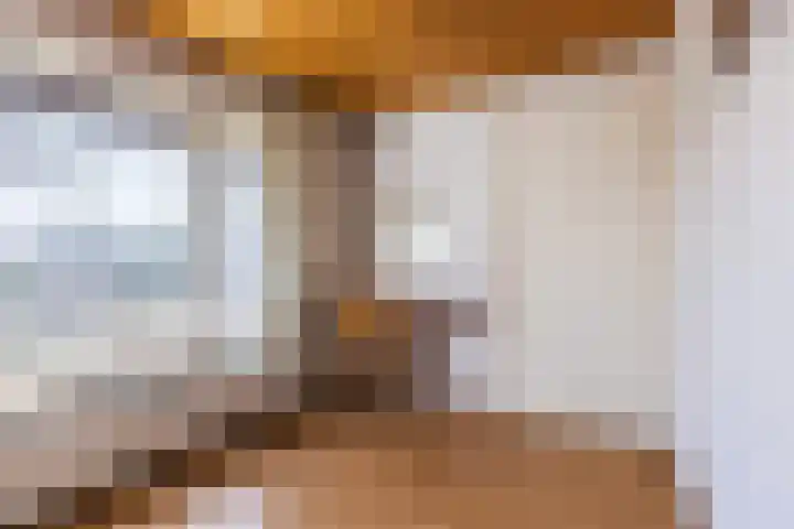 Parallelweg 27 Halsteren thumbnail 31