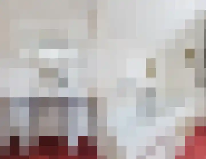 Parallelweg 27 Halsteren thumbnail 38