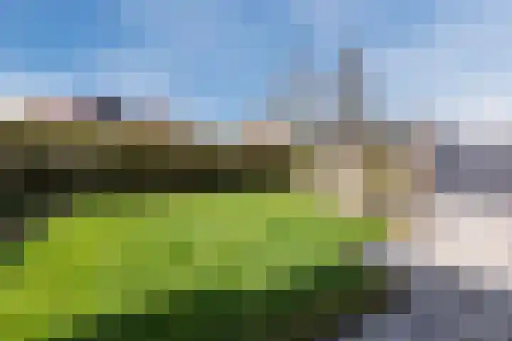 Parallelweg 27 Halsteren thumbnail 42