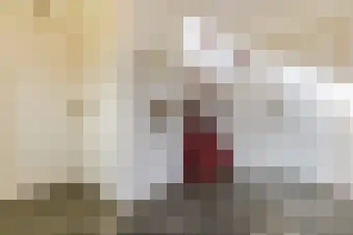 Parallelweg 27 Halsteren thumbnail 6