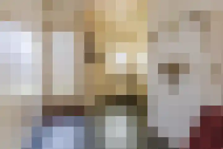 Parallelweg 27 Halsteren thumbnail 7