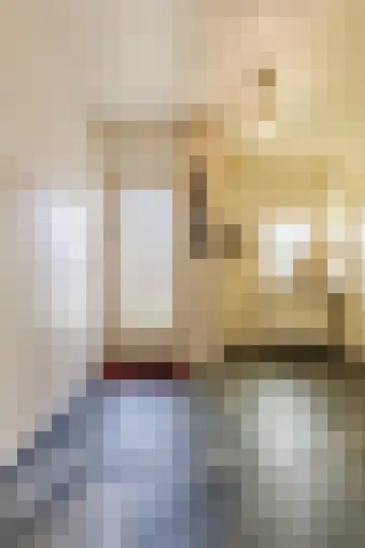 Parallelweg 27 Halsteren thumbnail 8