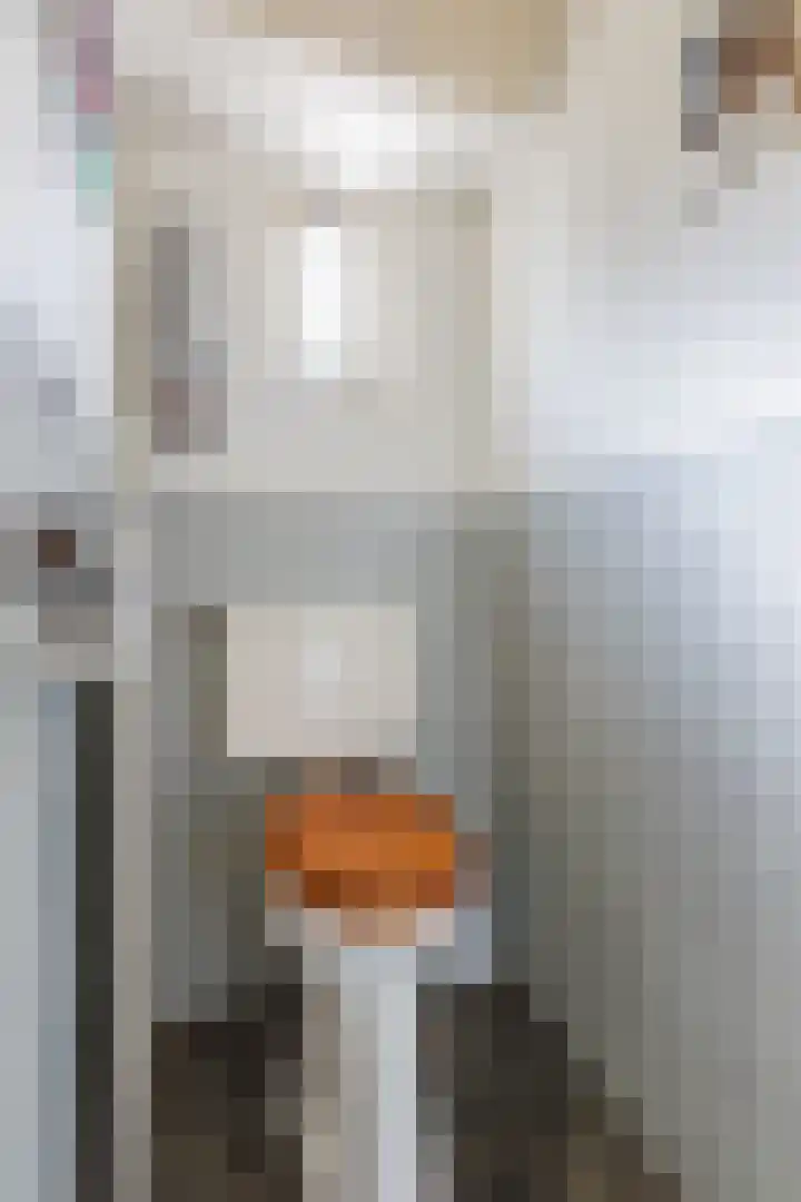 Parallelweg 27 Halsteren thumbnail 9