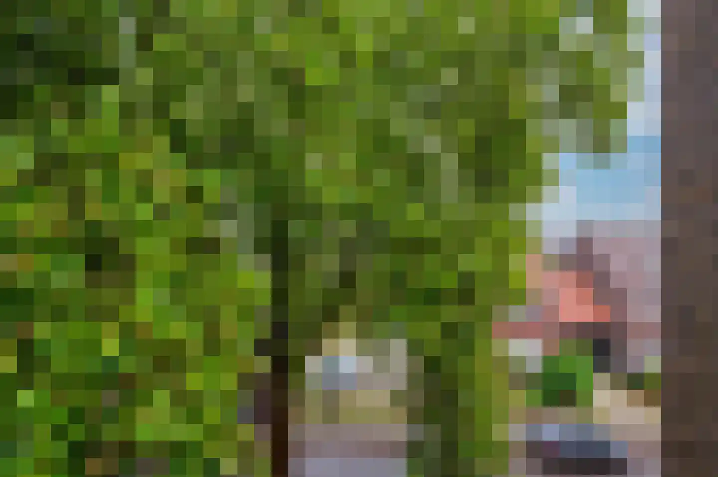 Parallelweg 27 Venlo thumbnail 18