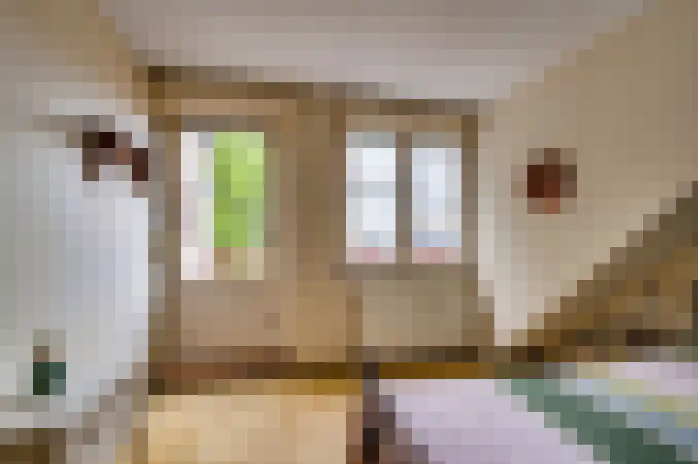 Parallelweg 27 Venlo thumbnail 24