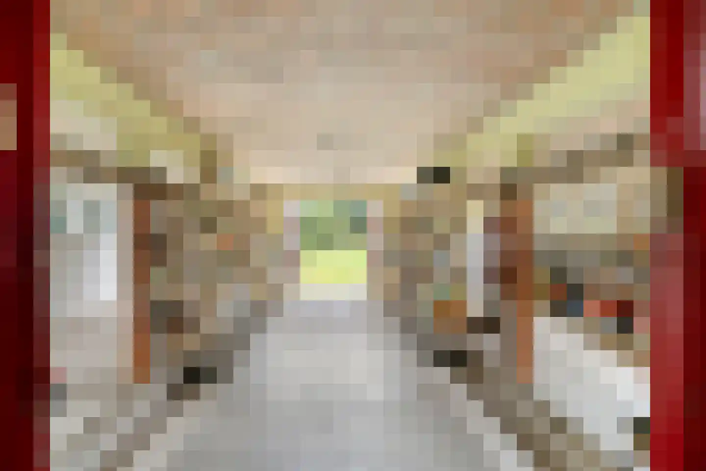 Parallelweg 28 Wagenberg thumbnail 29