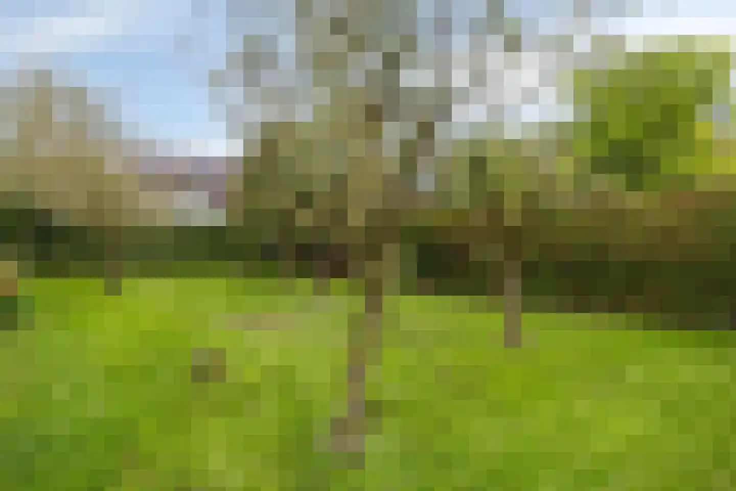 Parallelweg 28 Wagenberg thumbnail 39