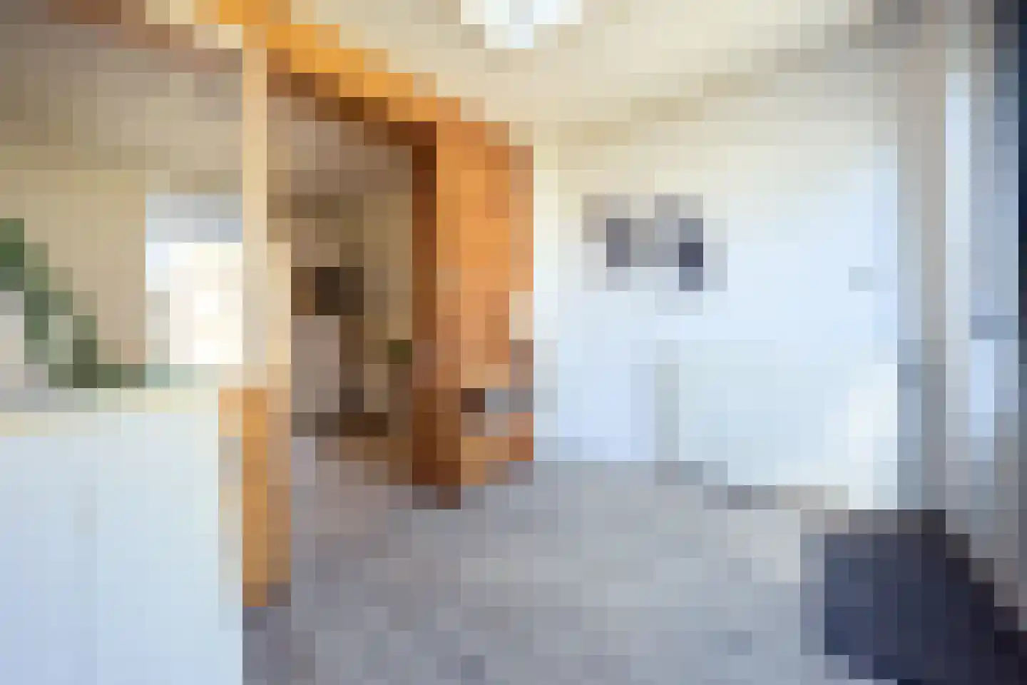 Parallelweg 29 Giessen thumbnail 25
