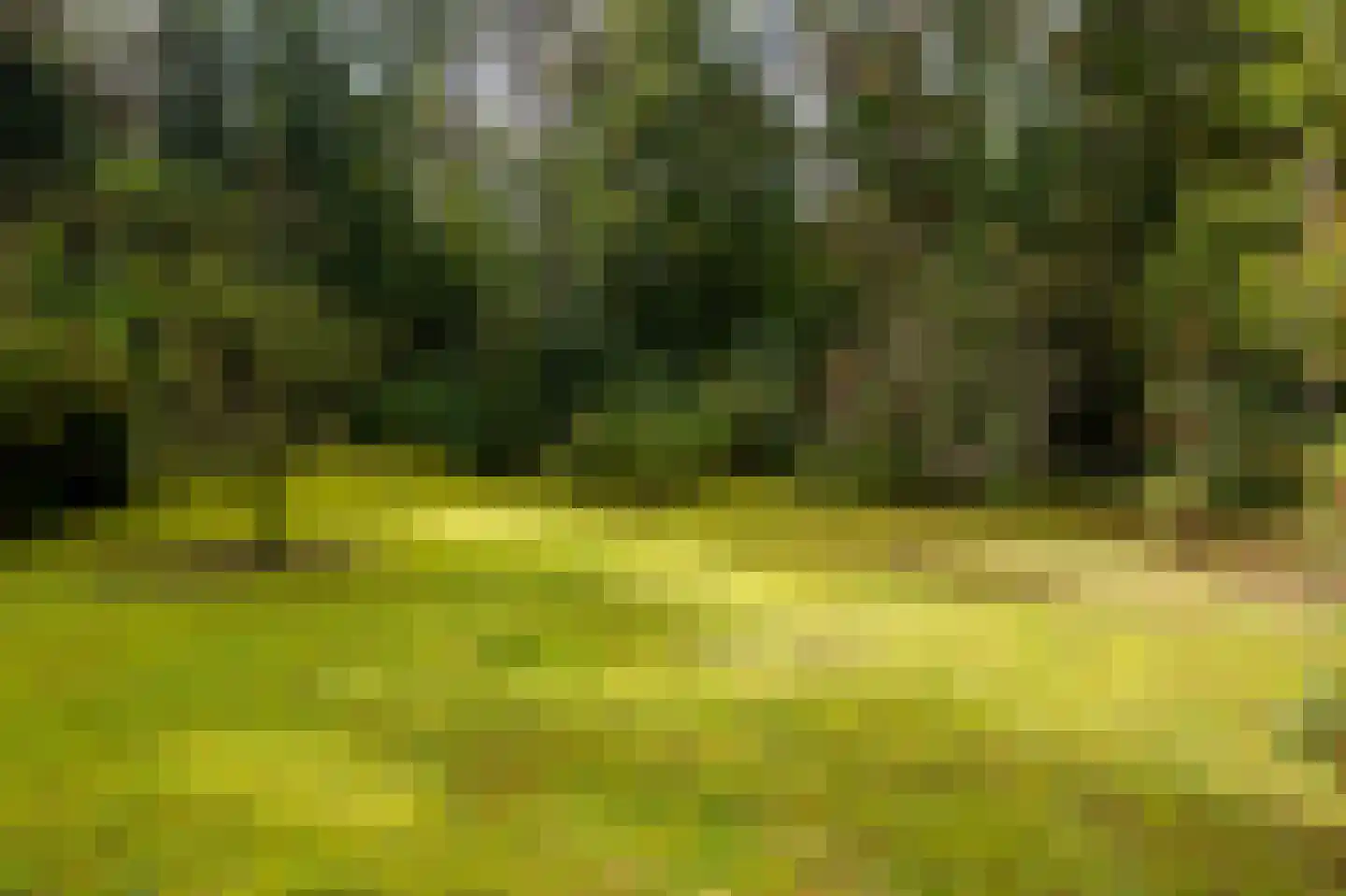 Parallelweg 29 Hierden thumbnail 10