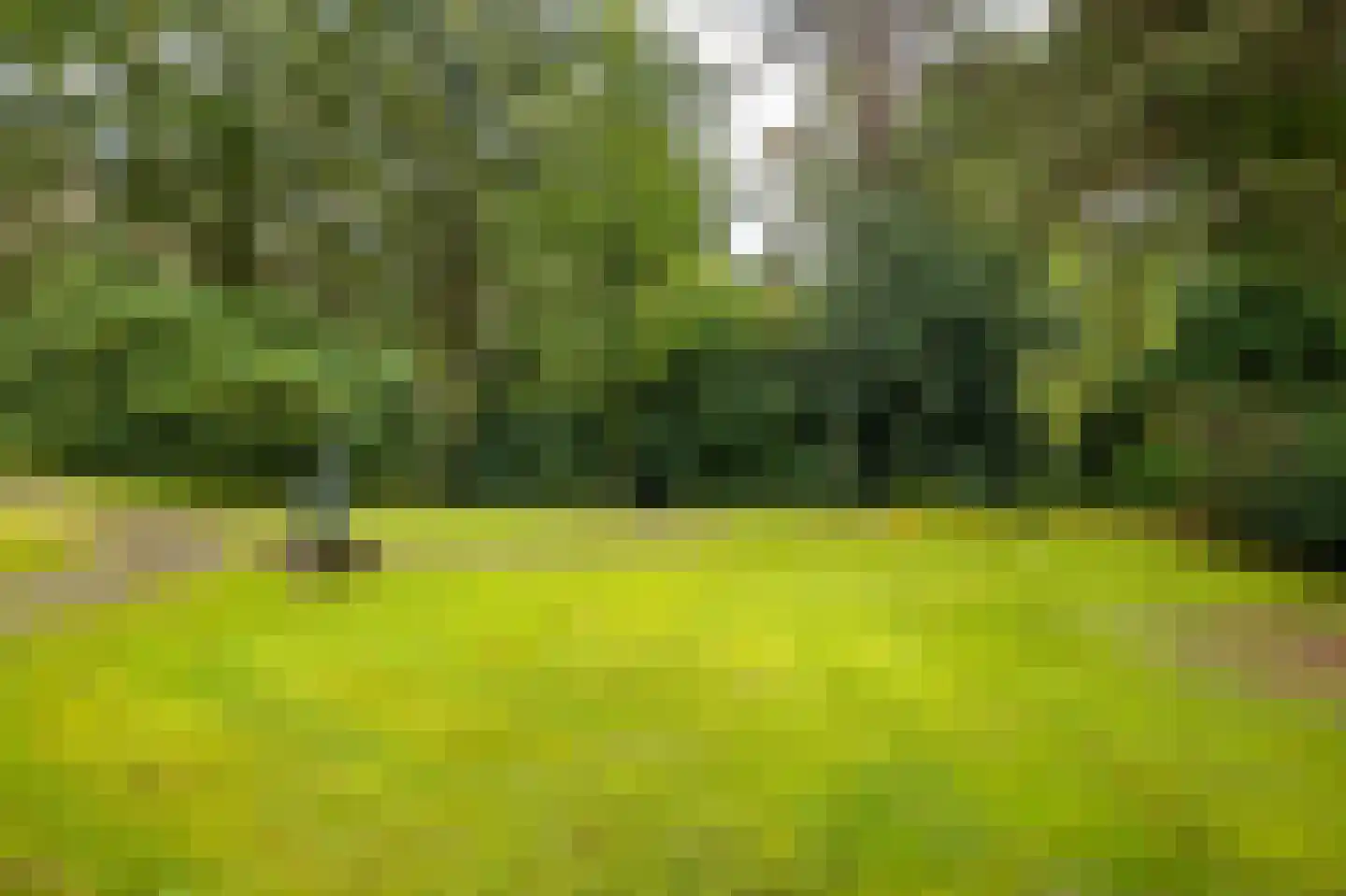 Parallelweg 29 Hierden thumbnail 11
