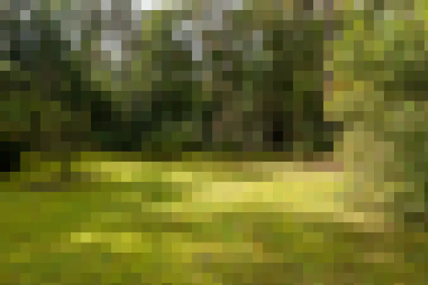Parallelweg 29 Hierden thumbnail 13