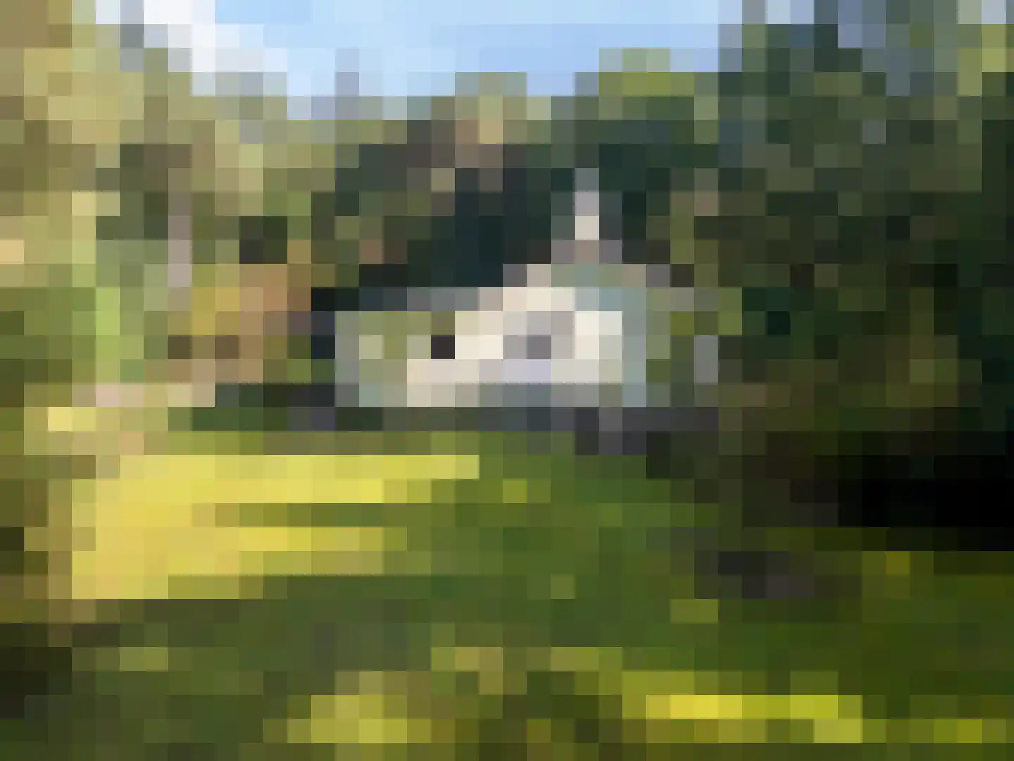 Parallelweg 29 Hierden thumbnail 46