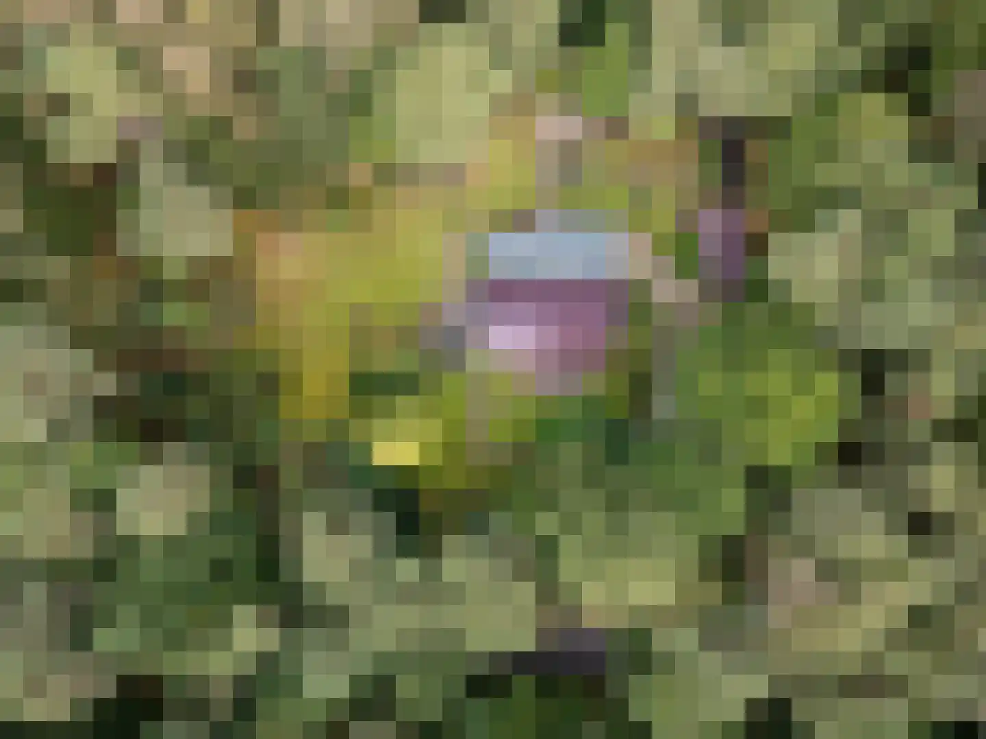 Parallelweg 29 Hierden thumbnail 48