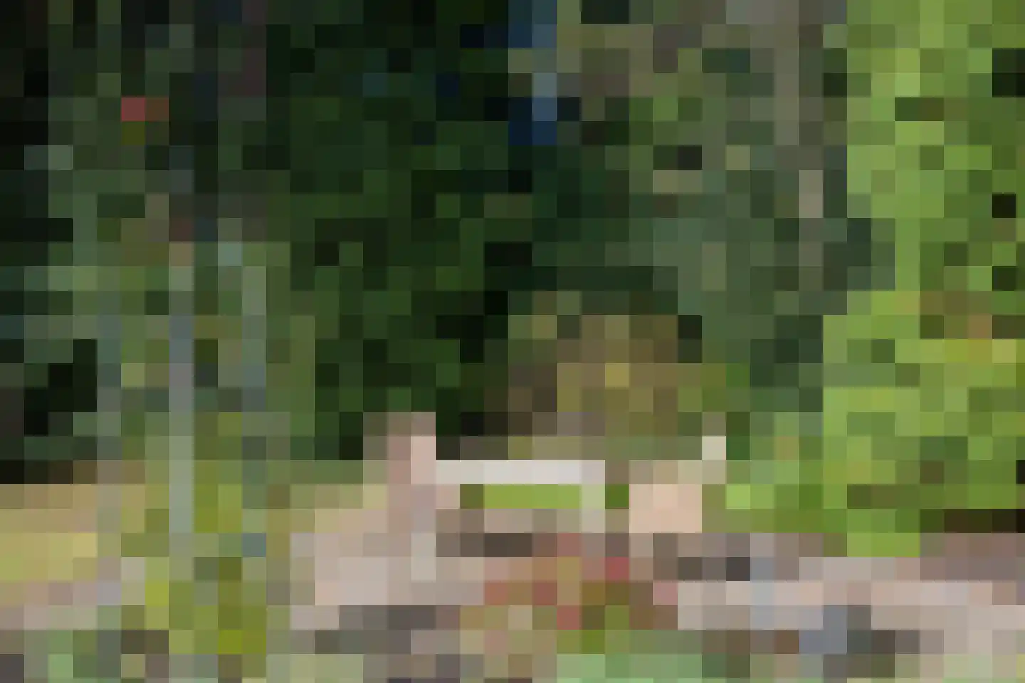 Parallelweg 29 Hierden thumbnail 52