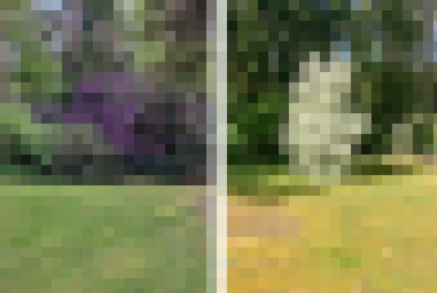 Parallelweg 29 Hierden thumbnail 53
