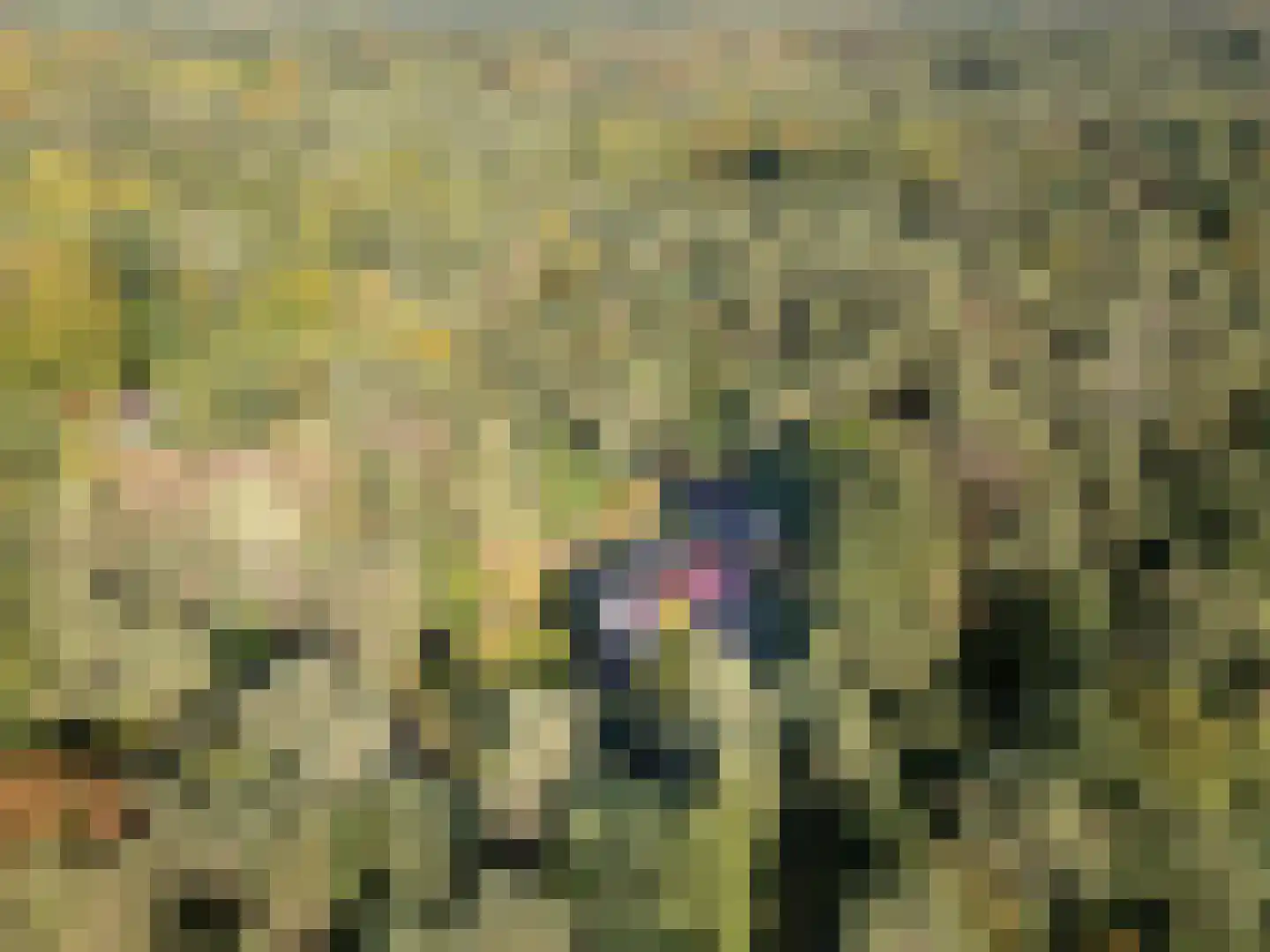 Parallelweg 29 Hierden thumbnail 55