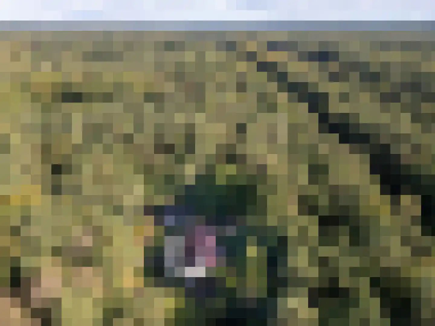 Parallelweg 29 Hierden thumbnail 56