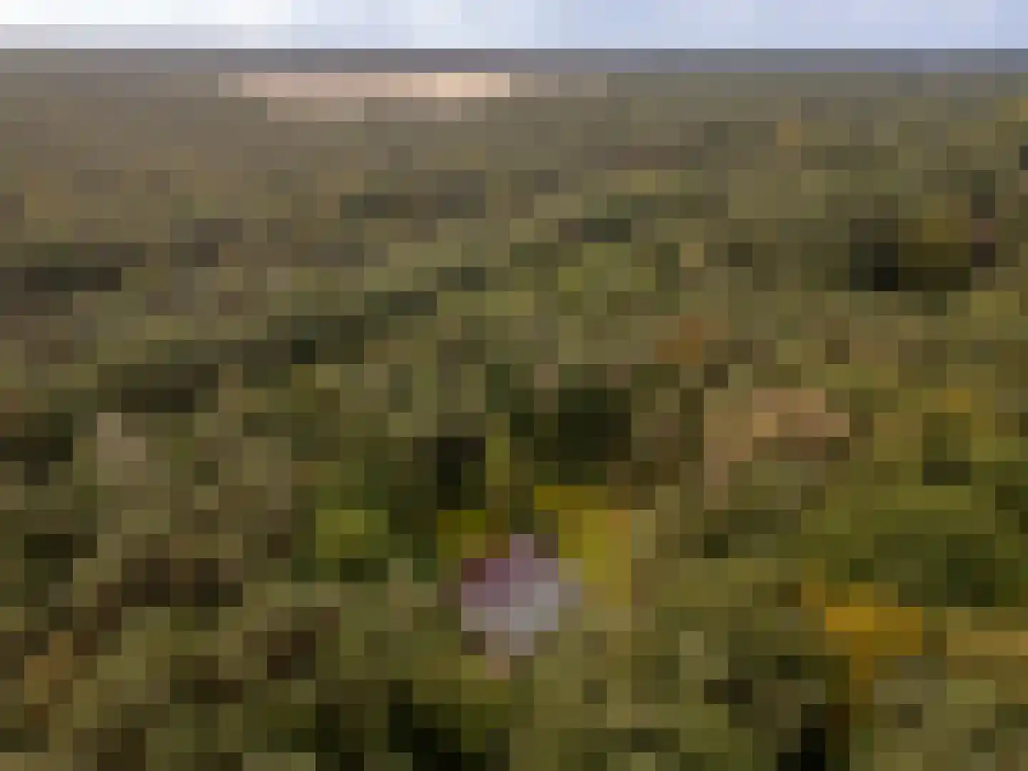 Parallelweg 29 Hierden thumbnail 57