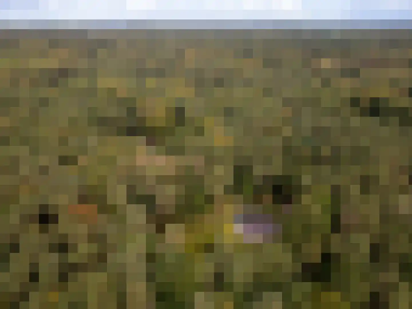 Parallelweg 29 Hierden thumbnail 58