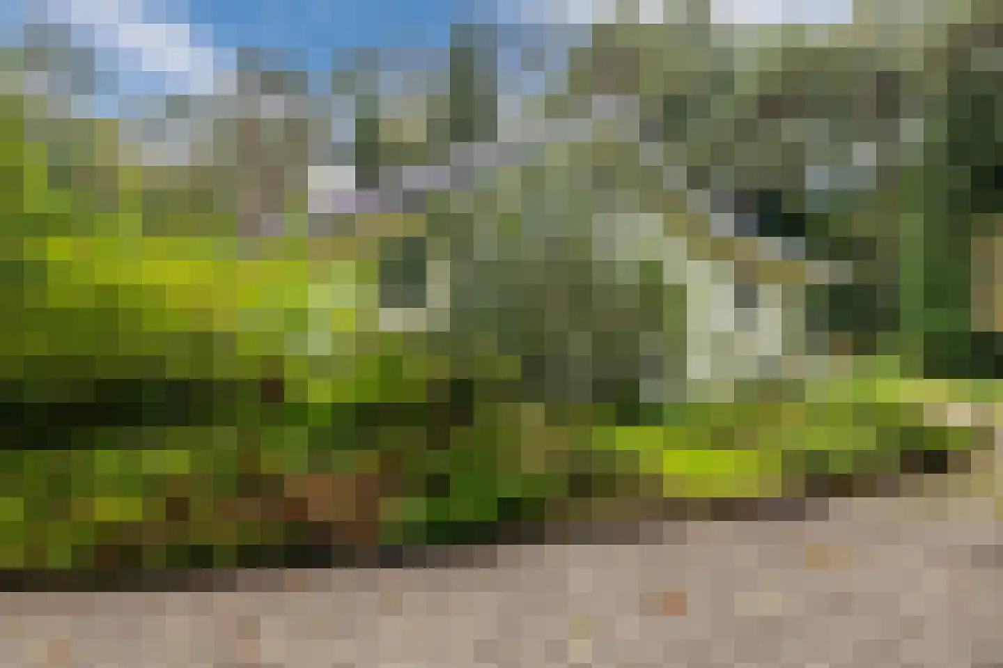 Parallelweg 29 Hierden thumbnail 7