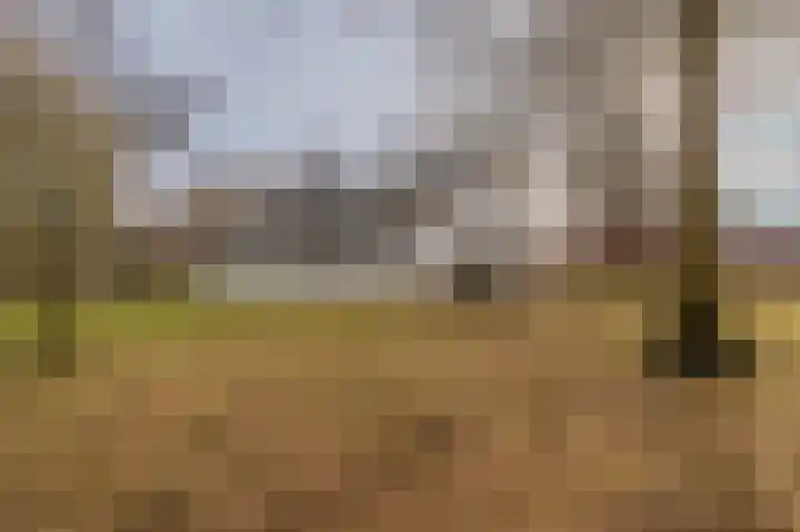 Parallelweg 3 Bellingwolde thumbnail 10