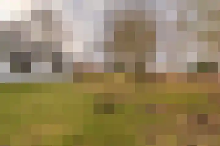 Parallelweg 3 Bellingwolde thumbnail 13